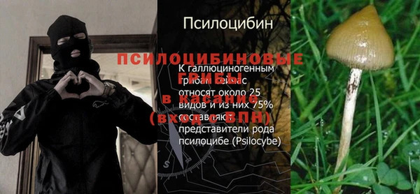 гидропоника Алексин