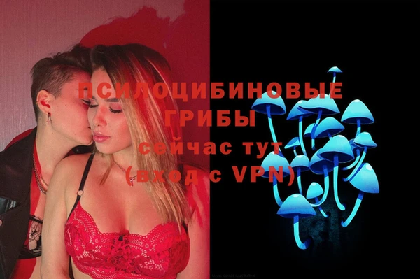 экстази Алексеевка